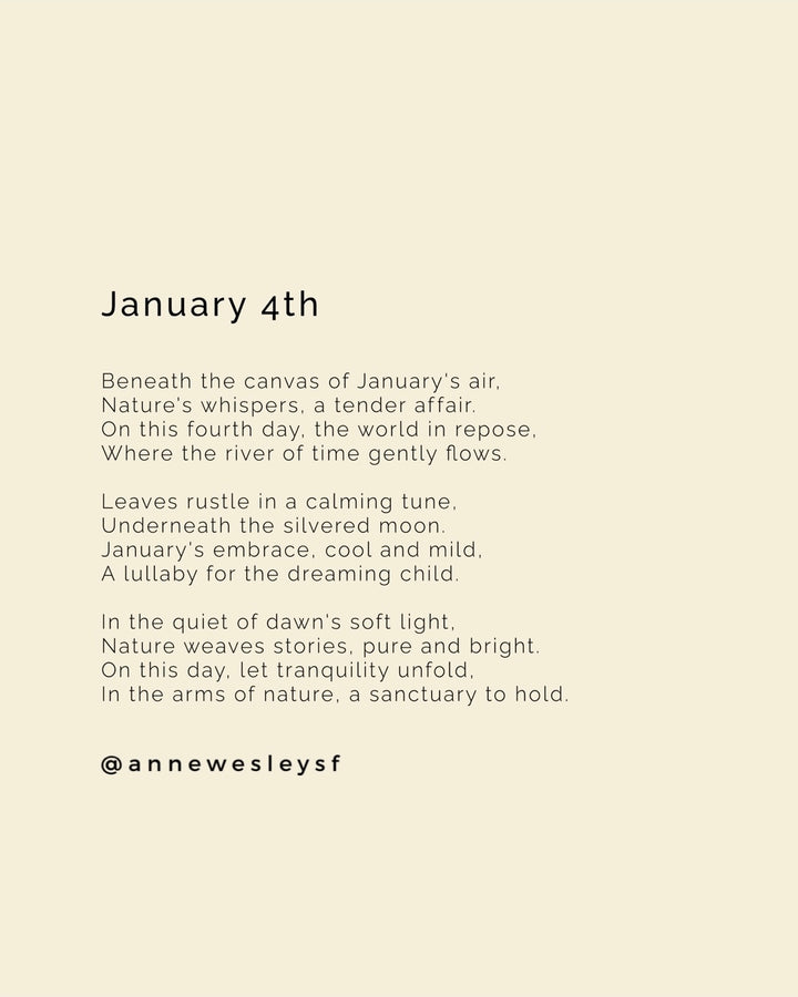 A Gentle Haven: Embracing Tranquility on January's Fourth Day