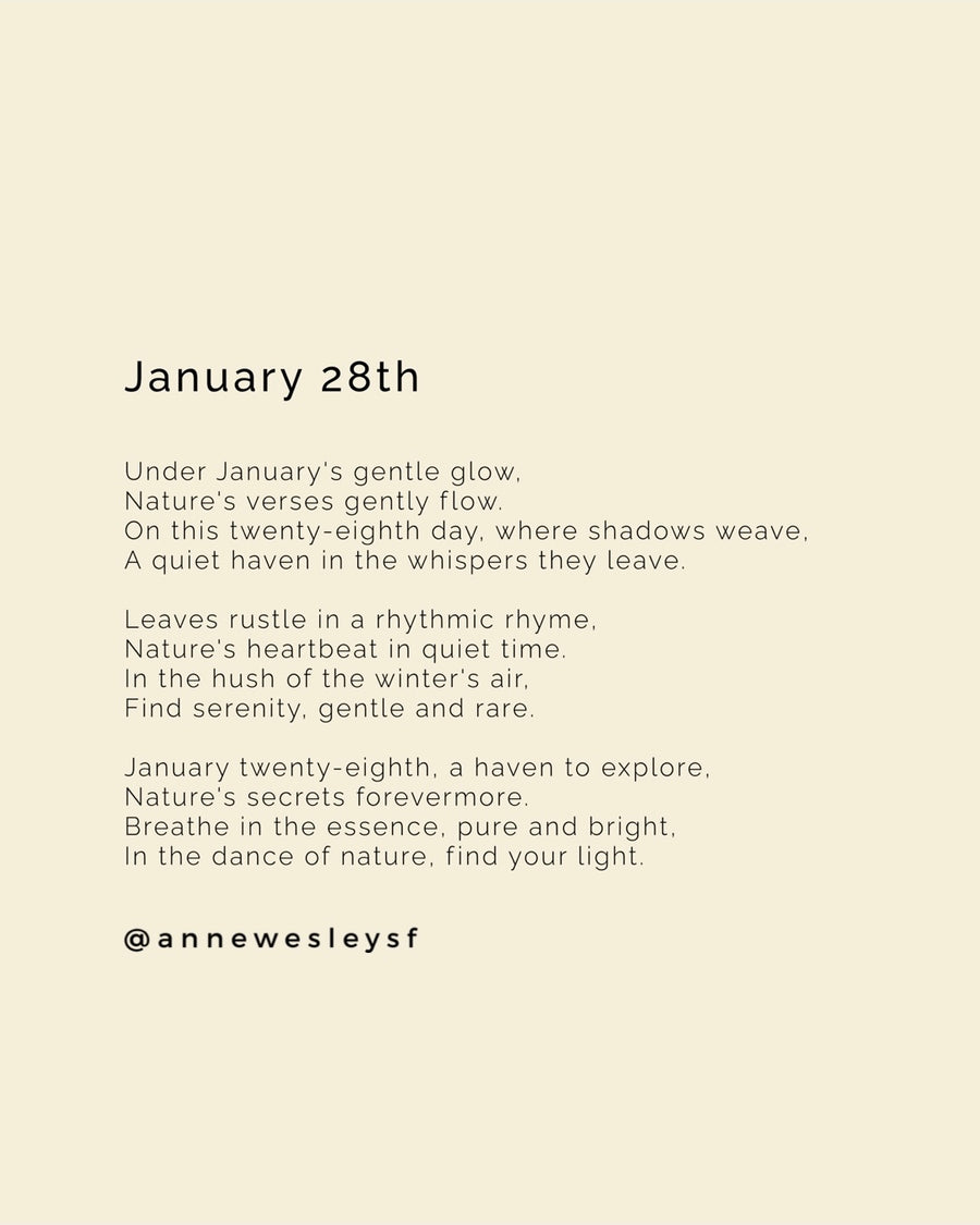 Whispers of Tranquility: Mindful Living on January's Twenty-Eighth Day