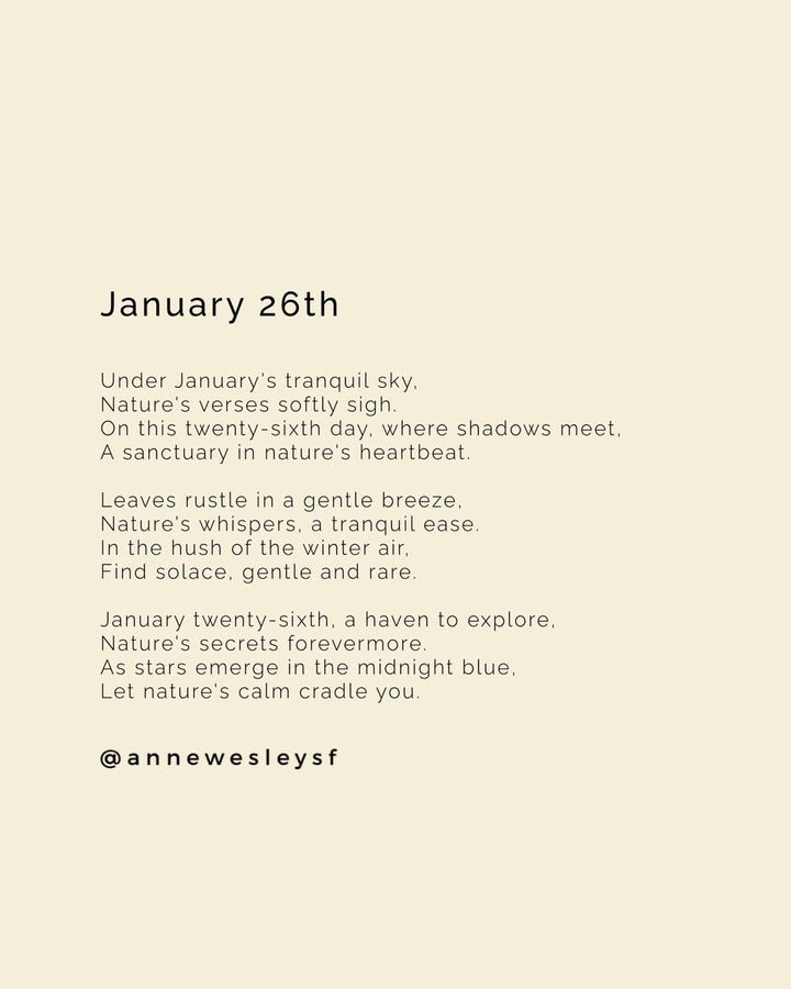 Harmony in the Night: Mindful Living on January's Twenty-Sixth Day